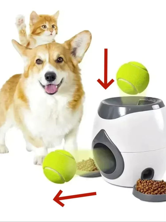 Fetch 'n Feed