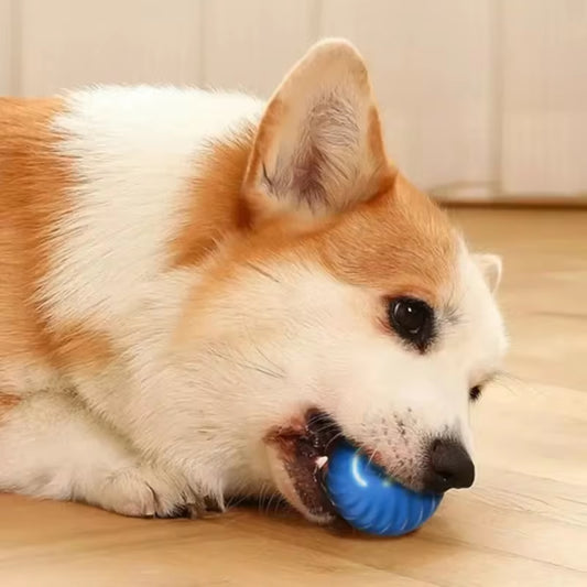 BounceBuddy Interactive Dog Ball